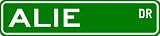 ALIE Street Sign ~ Personalized Family Lastname Sign ~ Gameroom, Basement, Garage Sign Novelty** METAL ALUMINUM