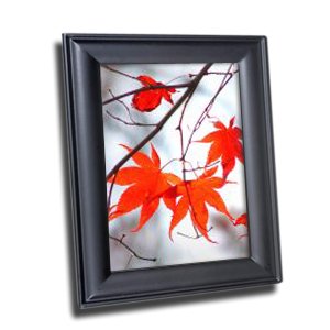 Pandigital 7-Inch Digital Photo Frame with 2 Interchangeable Frames