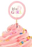 Wilton Cupcake Picks - Baby Girl Wilton Cupcake Picks - Baby Girl