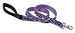 Lupine Large Dog Leash - Surf Pup 6 ft.