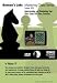 Roman Labs: Mastering Chess Vol 19 DVD