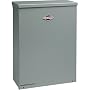 Briggs & Stratton 1918 50 Amp Nema 3R Enclosure 10 Circuit Automatic Transfer Switch for 7,000 Watt - 10,000 Watt Generators