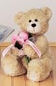 Gund Plush Bear with Flowers - Feel Better Get Well Soon, 10 Inches