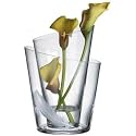 Menu 4746039 Galerie Vase 2-in-1