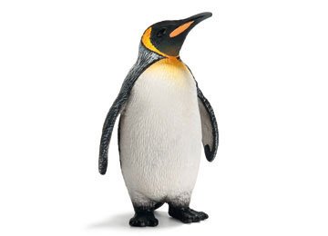 King Penguin
