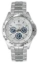 Multifunction Silver Dial