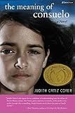 The Meaning of Consuelo: A Novel (Bluestreak)
