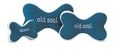 Planet Dog Old Soul Slobber-Wick Squeaky Bone - Teal - Large