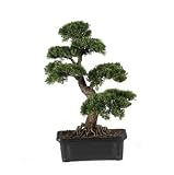 2 ft Artificial Cedar Bonsai Tree