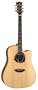 Luna OracleAcoustic/Electric Guitar, Dolphin