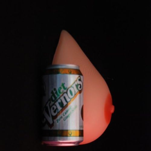 HOLSTER STYLE SILICONE BREAST FORM & BRA