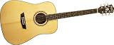 Washburn WD10 Series WD10S Acoustic Guitar