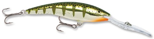 Rapala Deep Tail Dancer 11 Fishing lure, 4.375-Inch, Flash Yellow Perch
