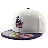 Los Angeles Dodgers 2010 Authentic Collection Stars & Stripes Hat
