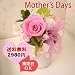 �y5/10�����w��z�y�{�B�ɂ��͂����������z��ɑ���v���U�[�u�h�t�����[2009���G���K���g���[�Y�@�Z���i�[�f�@�s���N�@�P�[�X����i�v���U�[�u�h�t�����[�j  �y��̓��M�t�g�z