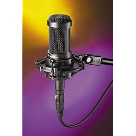 Audio Technica AT2050 Condenser Microphone