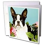 Dogs Boston Terrier - Emma Boston Terrier - Greeting Cards-12 Greeting Cards with envelopes