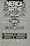 American Apartheid: Segregation and the Making of the Underclass