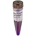 Edvotek 606 Gel Loading (10x) Solution