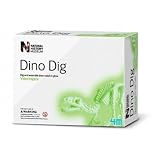 A Dig a Dino Dinosaur - Velociraptor 7+ - Childrens Science & Educational Kit Toy