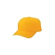 Port & Company - 6-Panel Twill Cap.