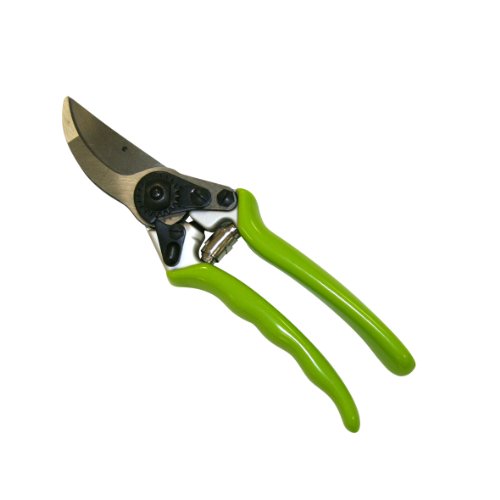 Xclou 342041 Sécateur Profi Bypass en fer forgé Xclou 342041 Sécateur Profi Bypass en fer forgé