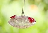 Bird Brain Sugar Baby Hummingbird Feeder Pink