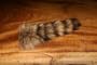 Hareline: TL5 Raccoon TAIL,
