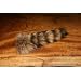 Hareline: TL5 Raccoon TAIL,