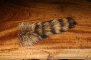 Hareline: TL5 Raccoon TAIL