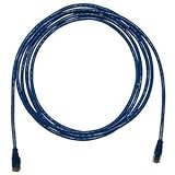 100' CAT6 Patch Cable Blue Mol