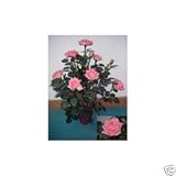 New Indoor/Outdoor Artificial 60cm Pink Rose Tree/Plant