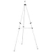 Heritage Raleigh Art/Display Easel