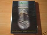 Korda DVD Underwater Carp Fishing Teil 1,2,3,4,5