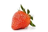 Wallmonkeys Peel and Stick Wall Decals Strawberry 24W x 16H Removable Graphic 31qO0C13zQL. SL160 Wallmonkeys Peel and Stick Wall Decals Strawberry 24W x 16H Removable Graphic