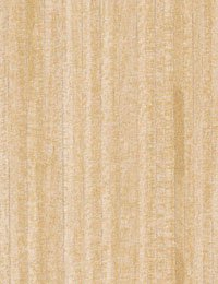 Wilsonart Laminate 5 x Blond Echo