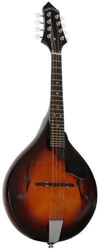 Gold Tone Rigel GM-A+ Mandolin