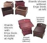 Ergo Desk
