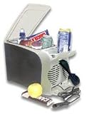 Wagan 6 Liter Cooler Warmer by Wagan