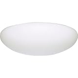 Progress Lighting P7310-60STRWB White Contoured Acrylic Clouds Float Off The Ceiling Regressed White Chassis Wall Or Ceiling Mount with Standard 120 Volt High Power Factor Electric Ballasts, White