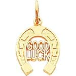 good luck horseshoe charm
