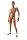 �yί�Ĳ�ޥĩٰ���߁z 1/6����̨�ޭ��f�� ƭ��ު�ڰ��ݔ� (���l �j��)