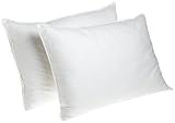 Pike Street 330-Thread Swiss Dot Down-Alternative Pillows, Set of 2