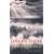 Celluloid Skyline: New York and the Movies
