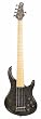 MTD Kingston Bass Guitar ZX 5 String, Maple Fingerboard, Transparent Black