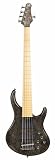 MTD Kingston Bass Guitar ZX 5 String, Maple Fingerboard, Transparent Black