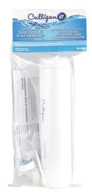 Taste/Odor/Scale Filter (TS-500)