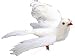 Accent Design Floral and Garden Accents Dove White 7 Flying,-2 Pearls On Orange Beak, Feather