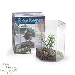 Lee`s Aquarium Betta Hex with Lid/Gravel/Plant
