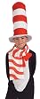 Child Cat in the Hat Scarf - Child Std.